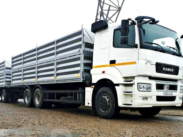 КАМАЗ 65207-85002-87 (S5)